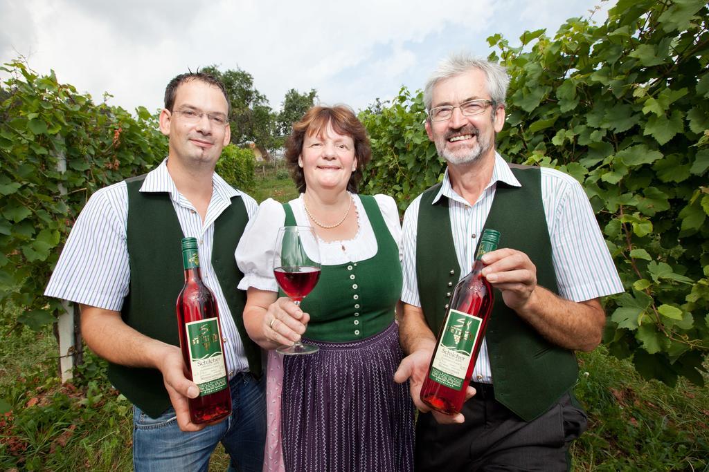 Weingut Seiner Vlg. Kraxner Βίλα Greisdorf Εξωτερικό φωτογραφία