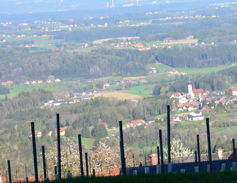 Weingut Seiner Vlg. Kraxner Βίλα Greisdorf Εξωτερικό φωτογραφία