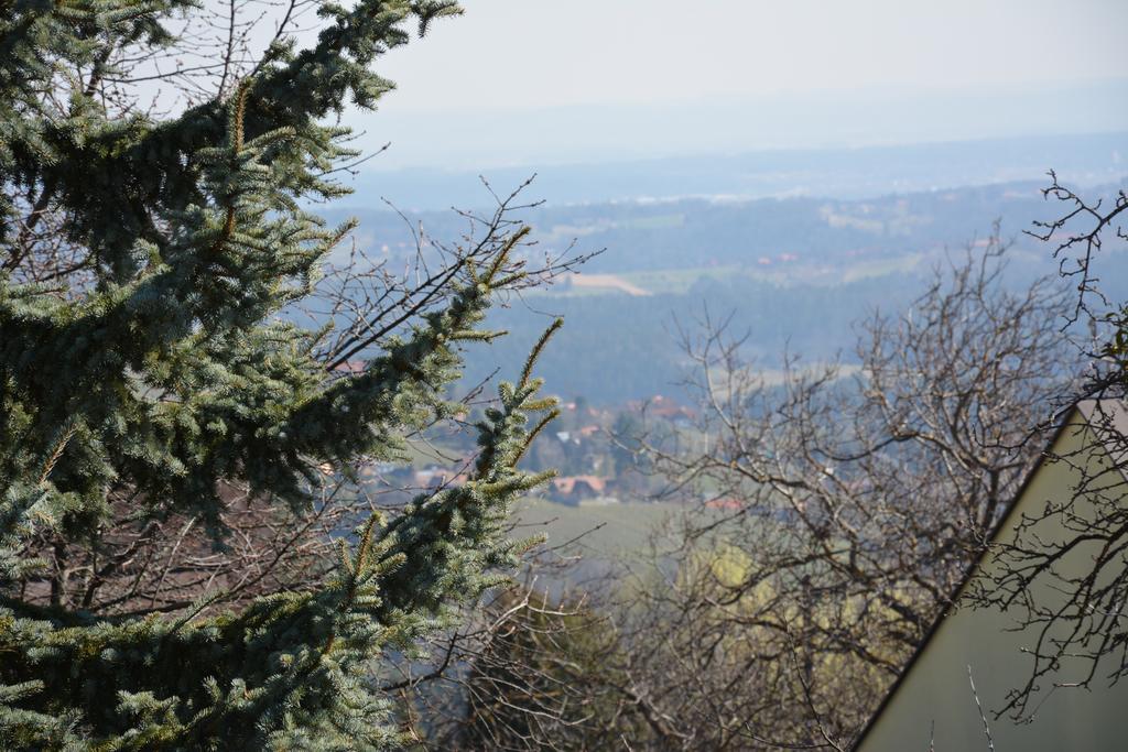 Weingut Seiner Vlg. Kraxner Βίλα Greisdorf Εξωτερικό φωτογραφία